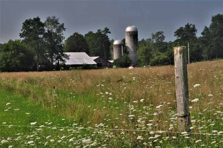 barn with silos